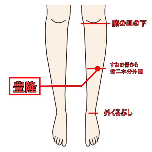 胃の症状、むくみ・痰に効くツボ『豊隆』