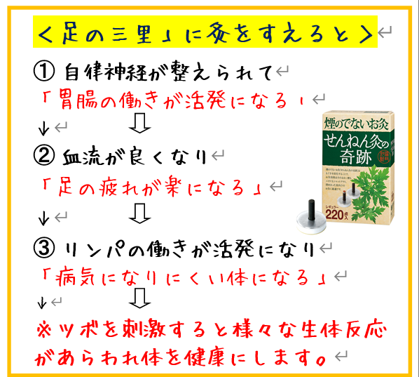 免疫力をあげるツボの紹介（足三里）