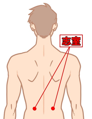 【体の内にも外にも幅広く効くツボ『 志室（ししつ）』】