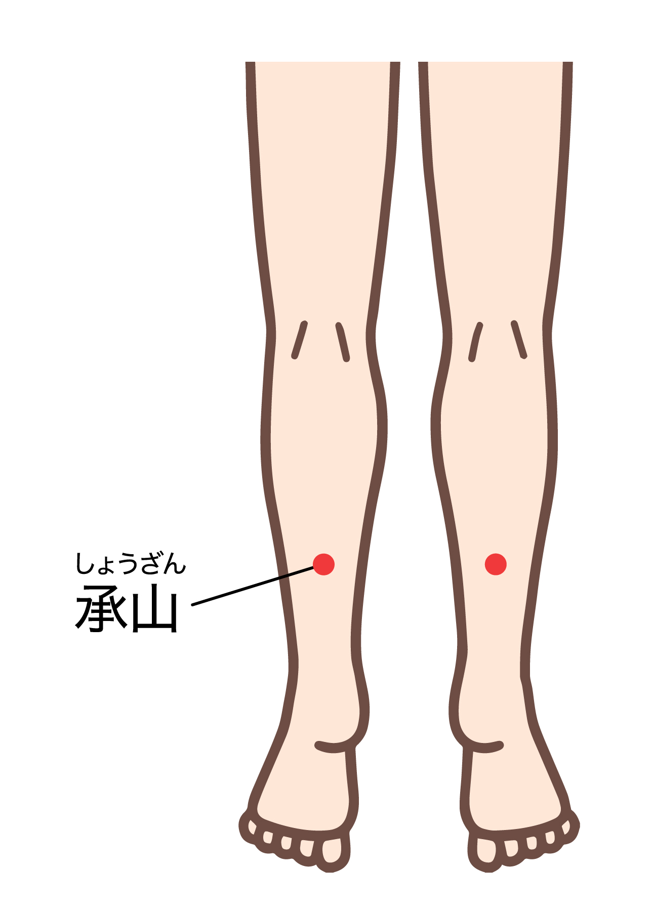 【足や腰痛の症状に効くツボ『承山（しょうざん）』】
