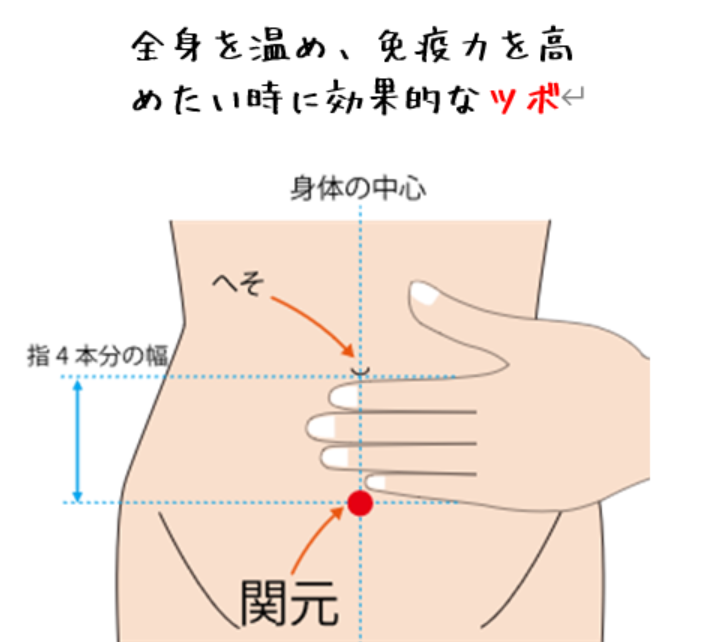 夏バテ予防に効き“元気”になるツボ『関元』