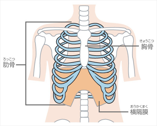 嚥下、呼吸、排痰など臨床で使える実践的な技術